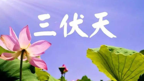 入伏，或開(kāi)啟蒸煮模式-普樂(lè)斯等離子清洗機(jī)